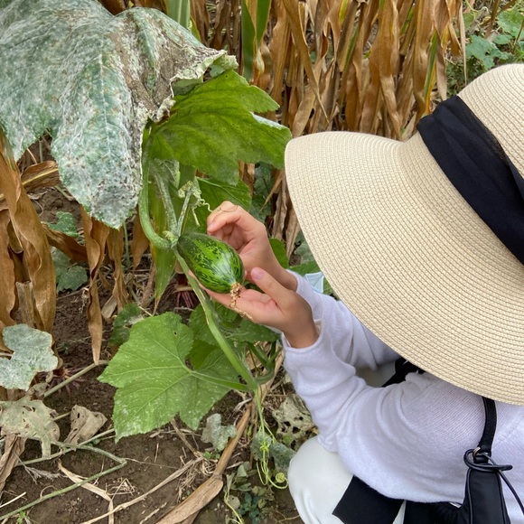 Solid straw hat - Picture 4 of 5